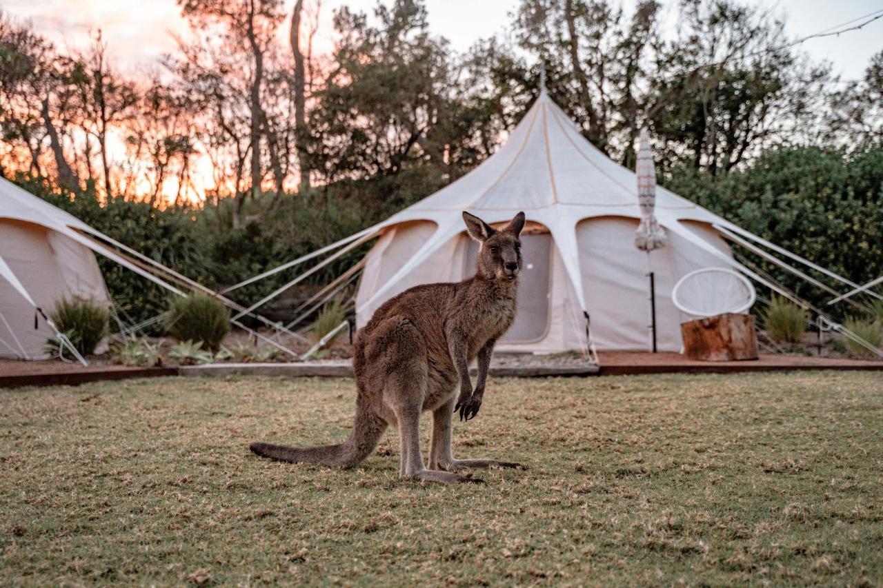 The Cove Jervis Bay Villa Exterior photo